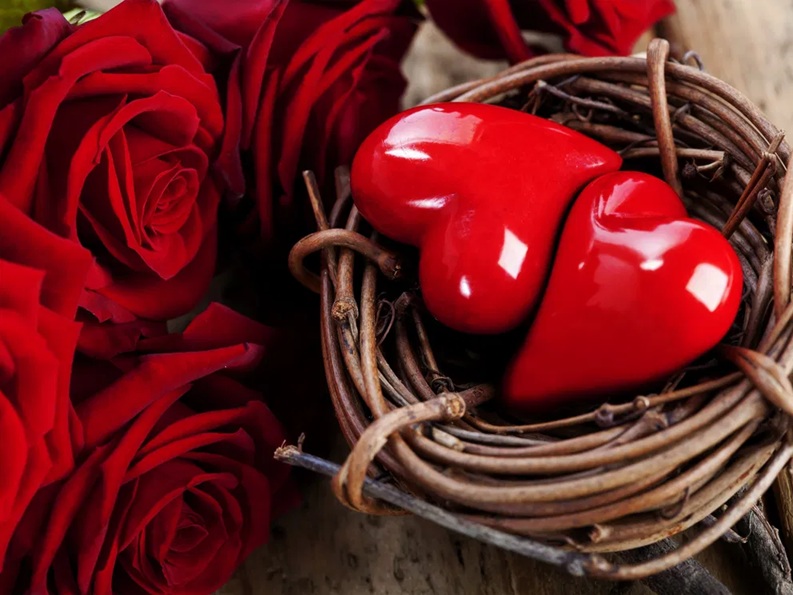 Radweg durch den Park an der Ilm